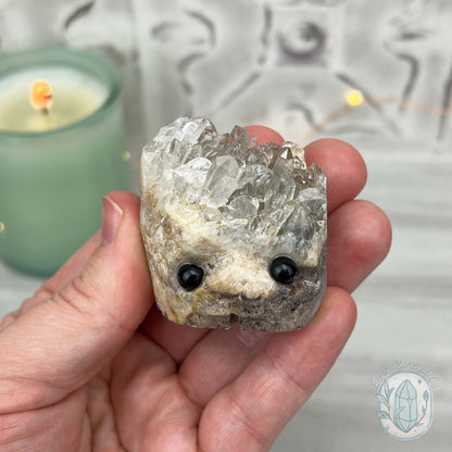 Clear Quartz Crystal Cluster Pet Rock Carving