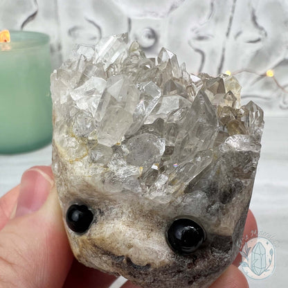 Clear Quartz Crystal Cluster Pet Rock Carving