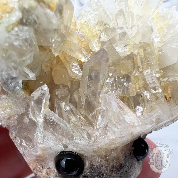 Clear Quartz Crystal Cluster Pet Rock Carving