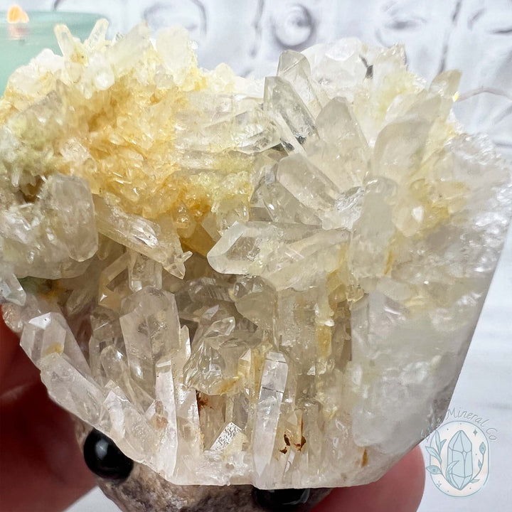 Clear Quartz Crystal Cluster Pet Rock Carving