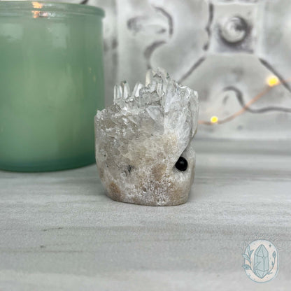 Clear Quartz Crystal Cluster Pet Rock Carving