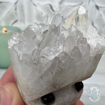 Clear Quartz Crystal Cluster Pet Rock Carving