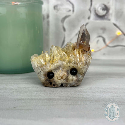Clear Quartz Crystal Cluster Pet Rock Carving