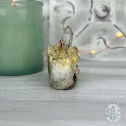 Clear Quartz Crystal Cluster Pet Rock Carving