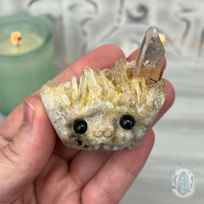 Clear Quartz Crystal Cluster Pet Rock Carving