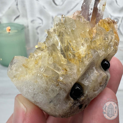 Clear Quartz Crystal Cluster Pet Rock Carving
