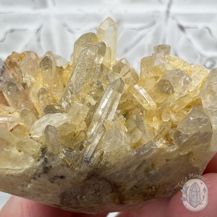 Clear Quartz Crystal Cluster Pet Rock Carving