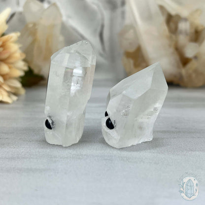 Clear Quartz Crystal Cluster Pet Rock Set