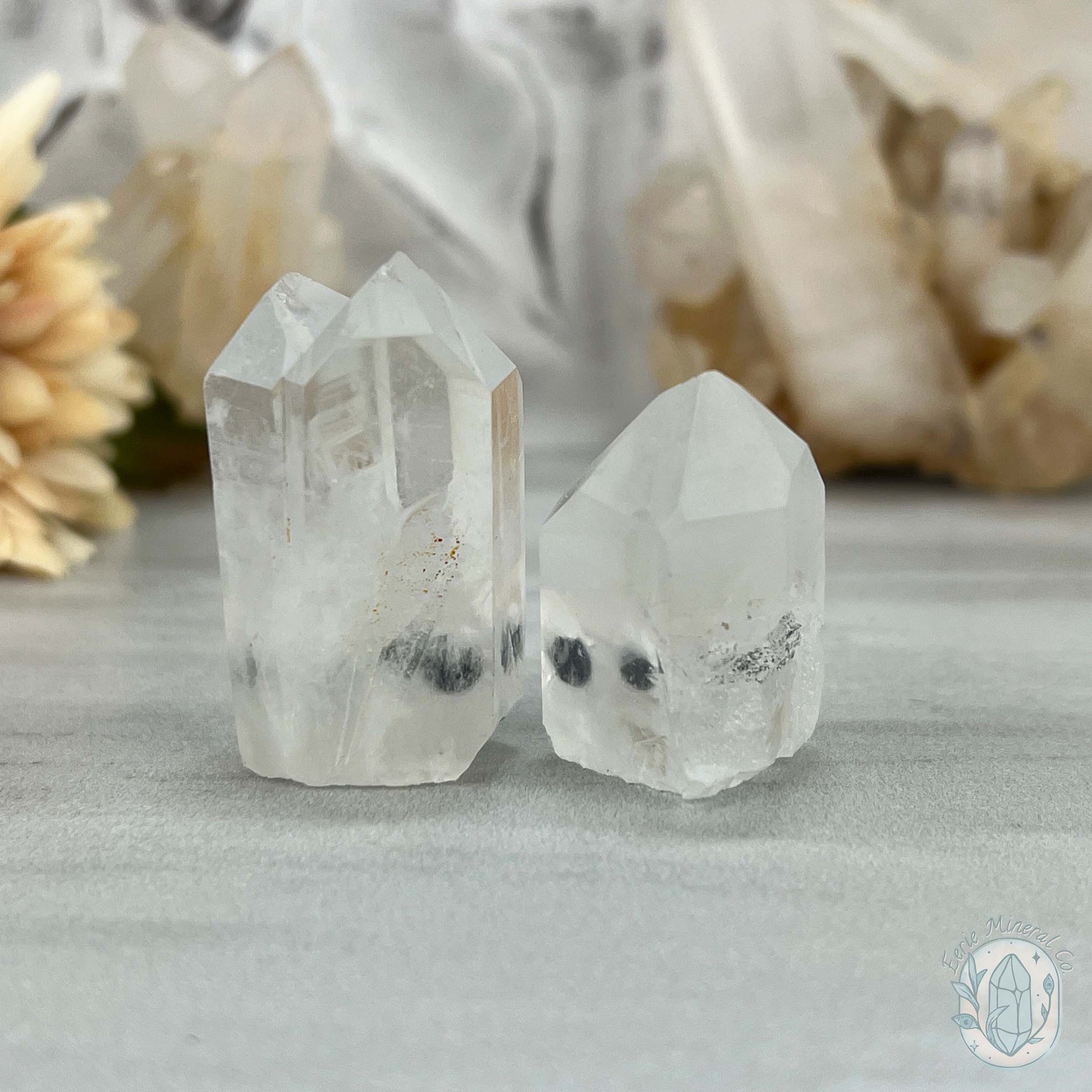 Clear Quartz Crystal Cluster Pet Rock Set