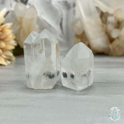 Clear Quartz Crystal Cluster Pet Rock Set