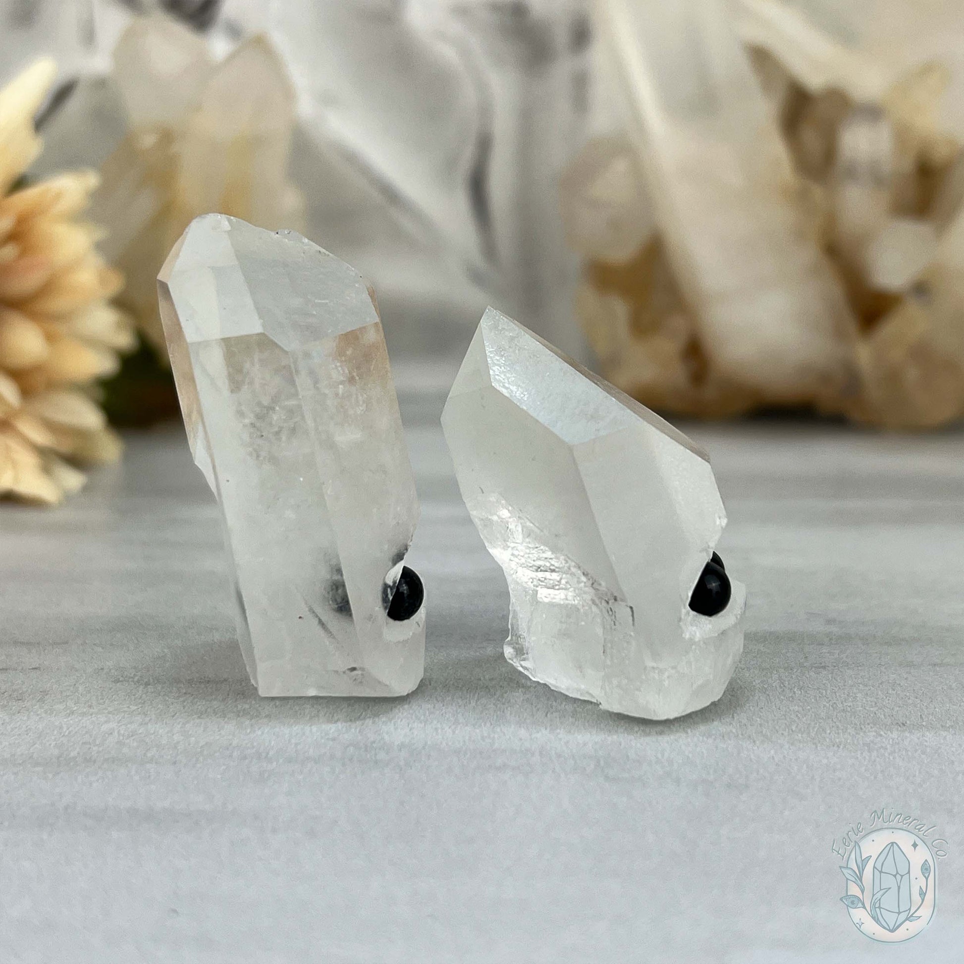 Clear Quartz Crystal Cluster Pet Rock Set
