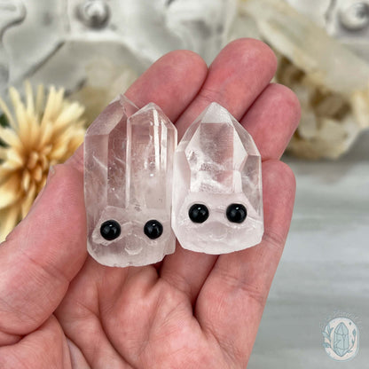 Clear Quartz Crystal Cluster Pet Rock Set