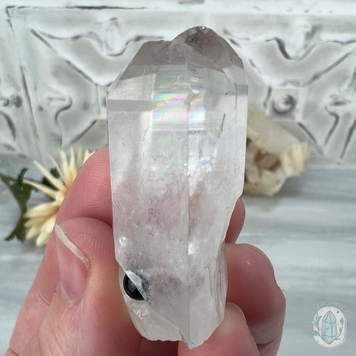 Clear Quartz Crystal Cluster Pet Rock Set