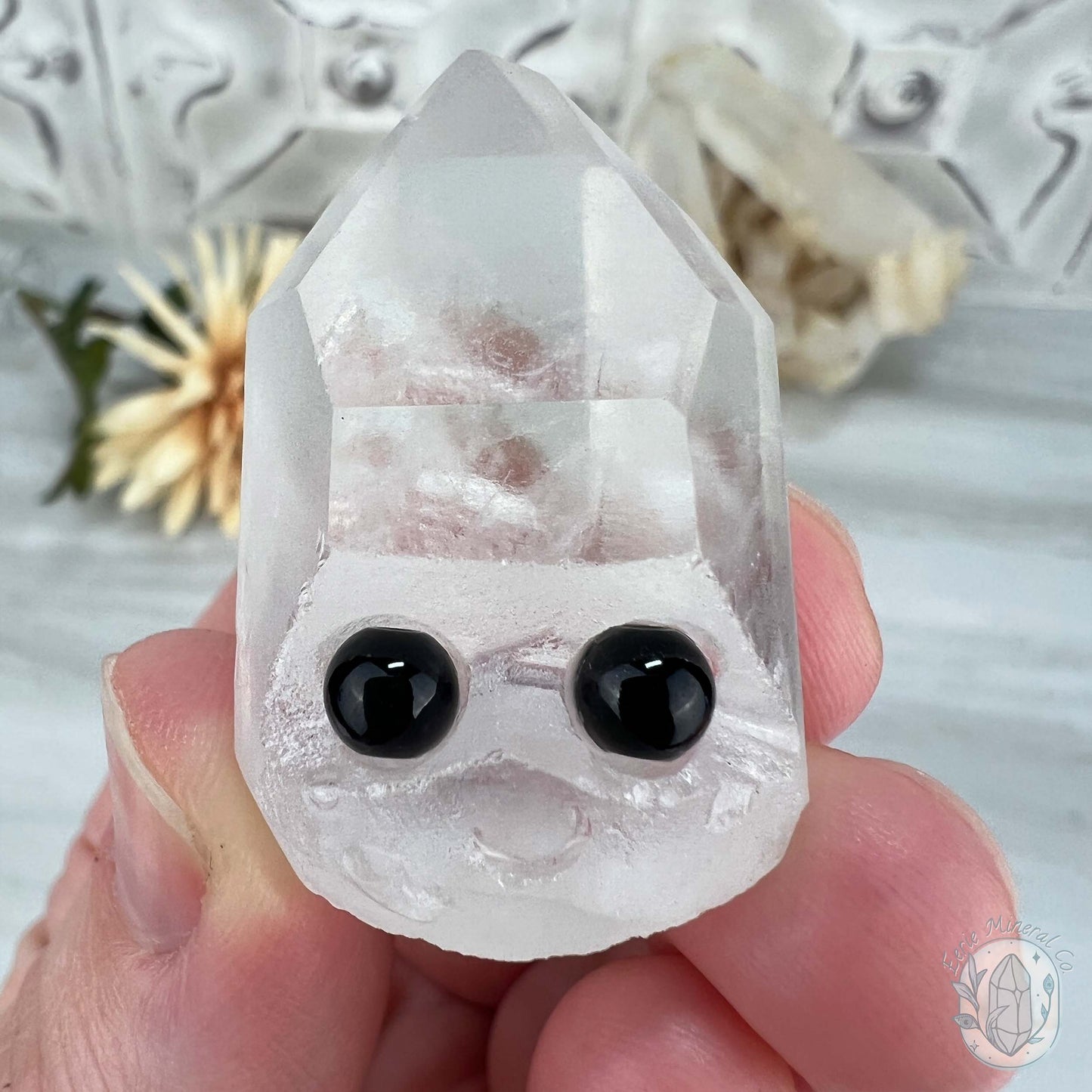 Clear Quartz Crystal Cluster Pet Rock Set