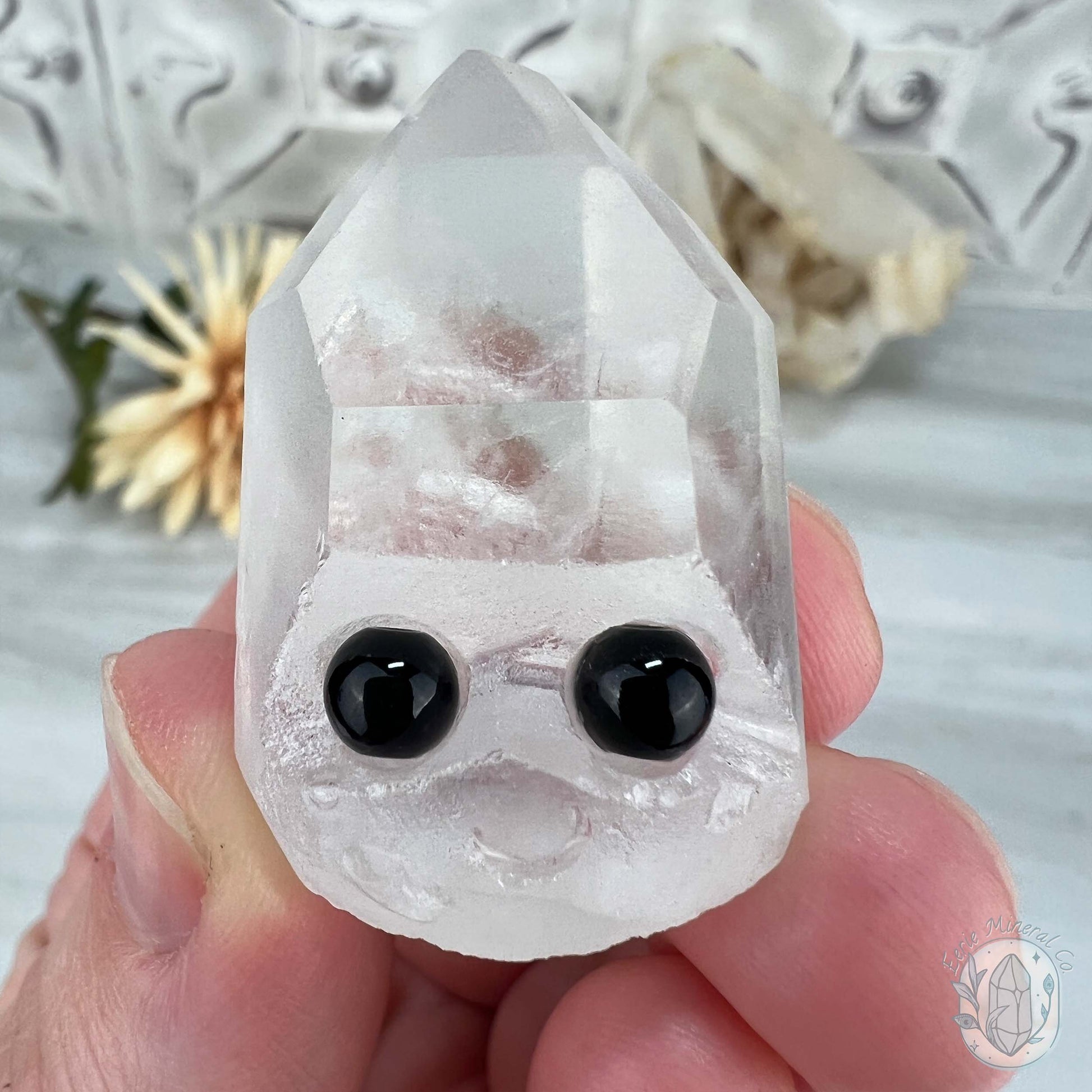 Clear Quartz Crystal Cluster Pet Rock Set