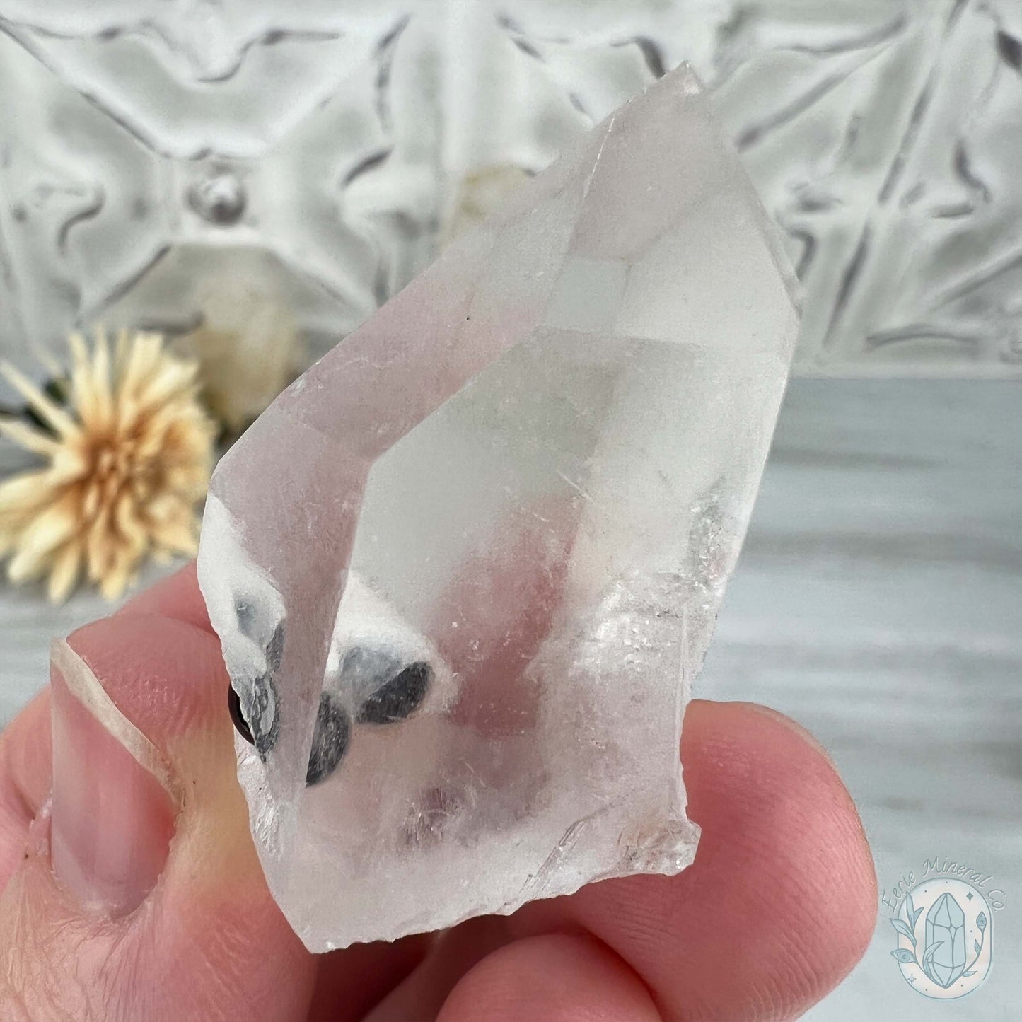 Clear Quartz Crystal Cluster Pet Rock Set
