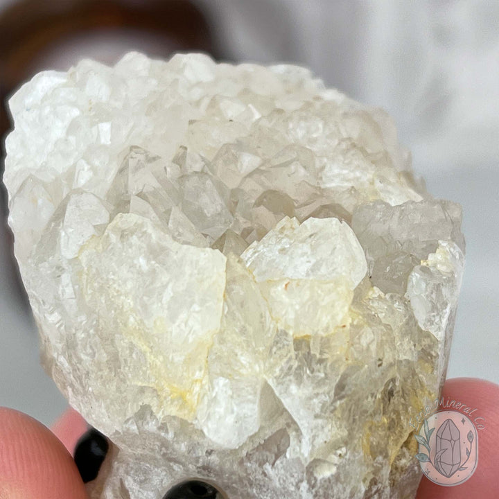 Clear Quartz Hedgehog Crystal Cluster