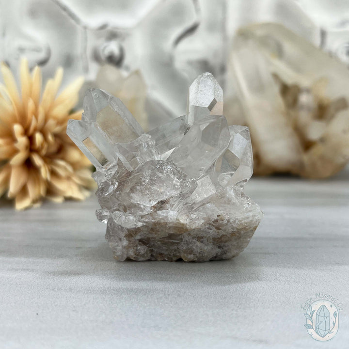 Clear Quartz Crystal Cluster Hedgehog Carving Specimen