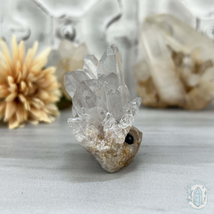 Clear Quartz Crystal Cluster Hedgehog Carving Specimen