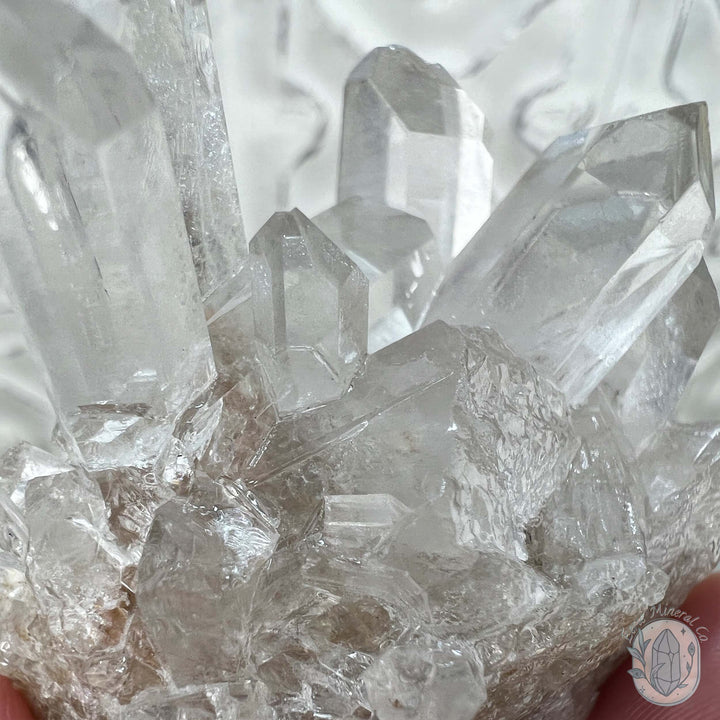 Clear Quartz Crystal Cluster Hedgehog Carving Specimen