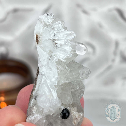 Clear Quartz Hedgehog Crystal Cluster