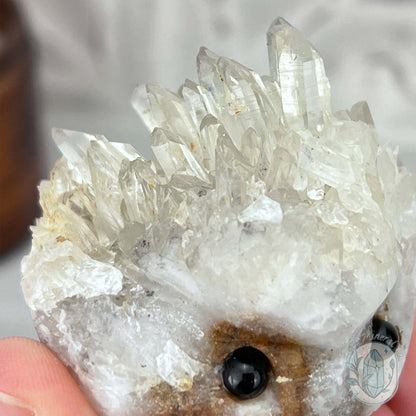Clear Quartz Hedgehog Crystal Cluster