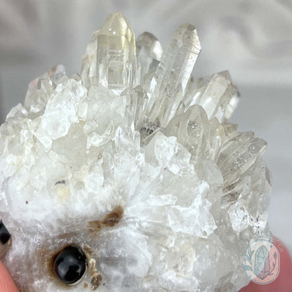 Clear Quartz Hedgehog Crystal Cluster