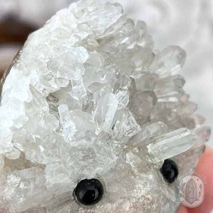 Clear Quartz Hedgehog Crystal Cluster