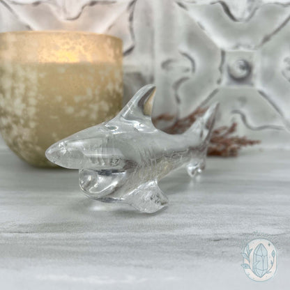 Polished Clear Quartz Great White Shark Carving