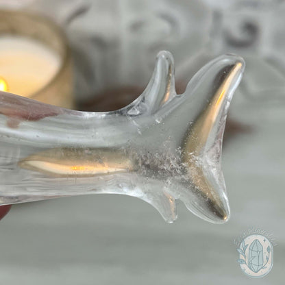 Polished Clear Quartz Great White Shark Carving