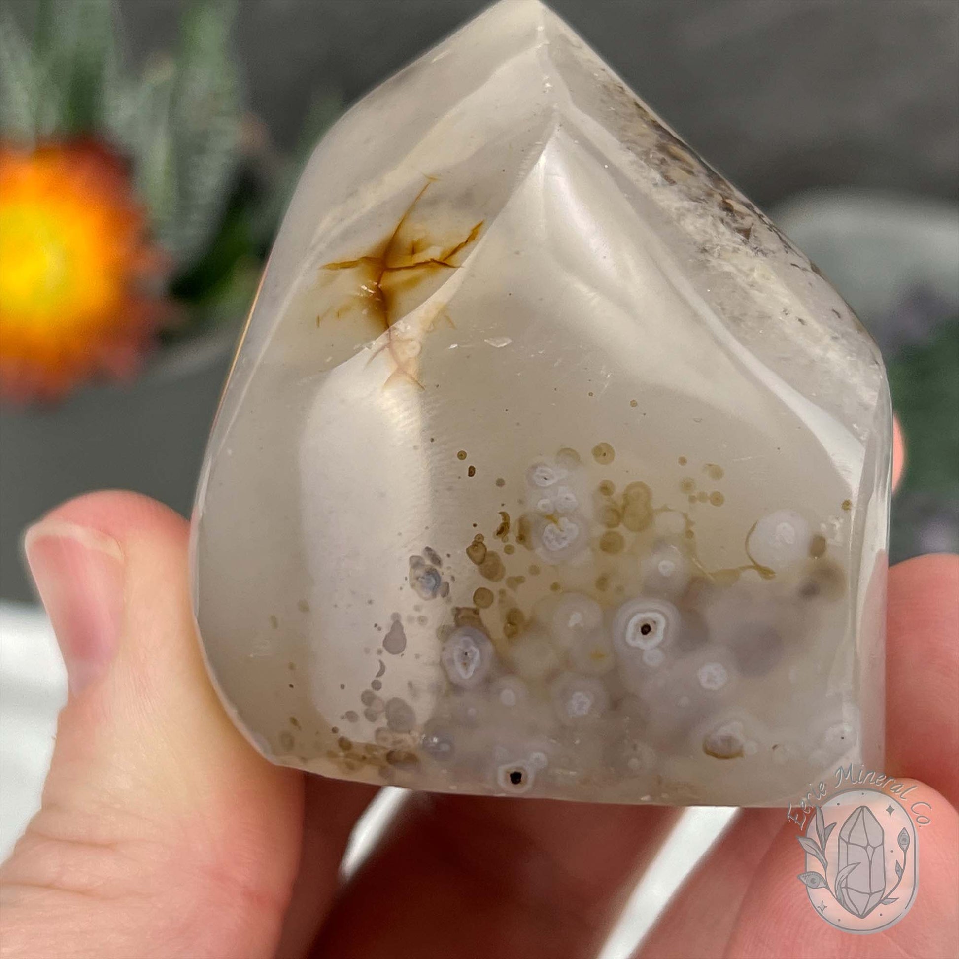 Polished Layered Dendritic Milky White Agate Flame