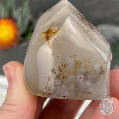 Polished Layered Dendritic Milky White Agate Flame