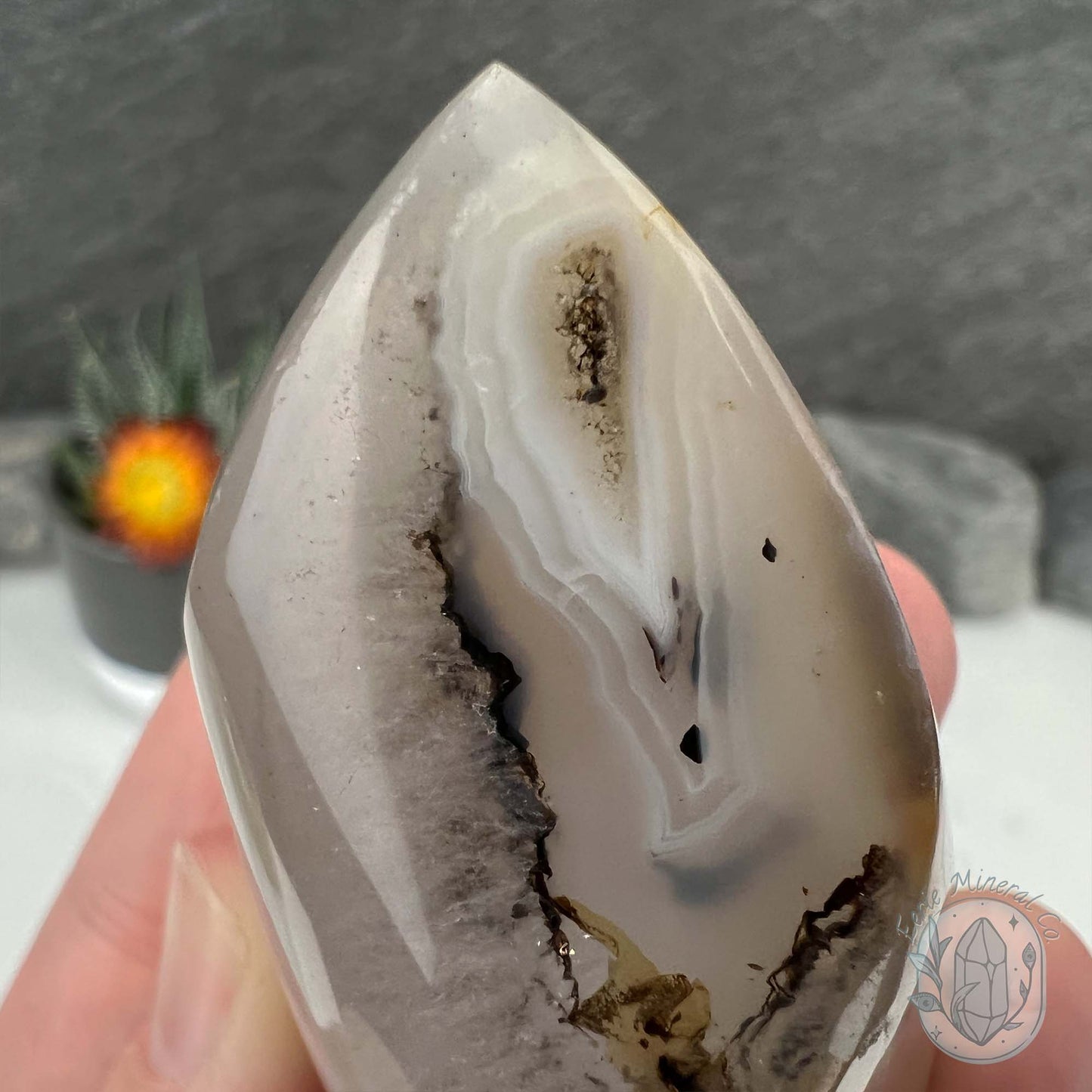 Polished Layered Dendritic Milky White Agate Flame