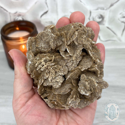 Desert Rose (Gypsum) Hedgehog Specimen