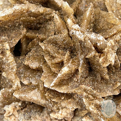 Desert Rose (Gypsum) Hedgehog Specimen