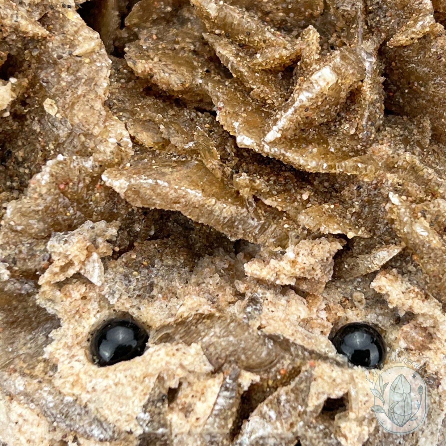 Desert Rose (Gypsum) Hedgehog Specimen