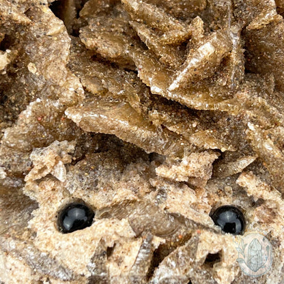 Desert Rose (Gypsum) Hedgehog Specimen