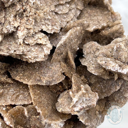Desert Rose (Gypsum) Hedgehog Specimen