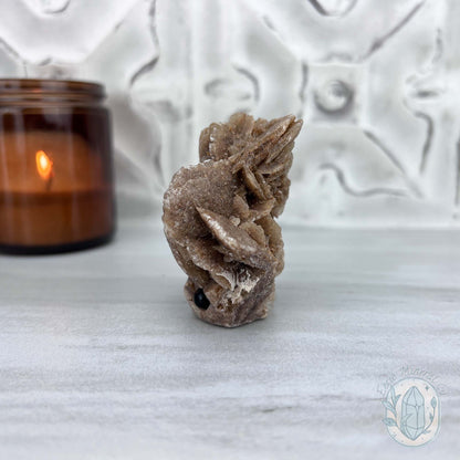 Desert Rose (Gypsum) Hedgehog Specimen