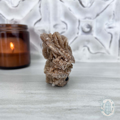 Desert Rose (Gypsum) Hedgehog Specimen