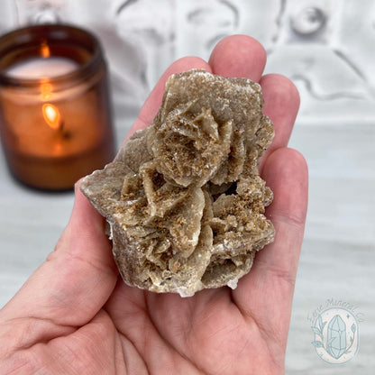 Desert Rose (Gypsum) Hedgehog Specimen
