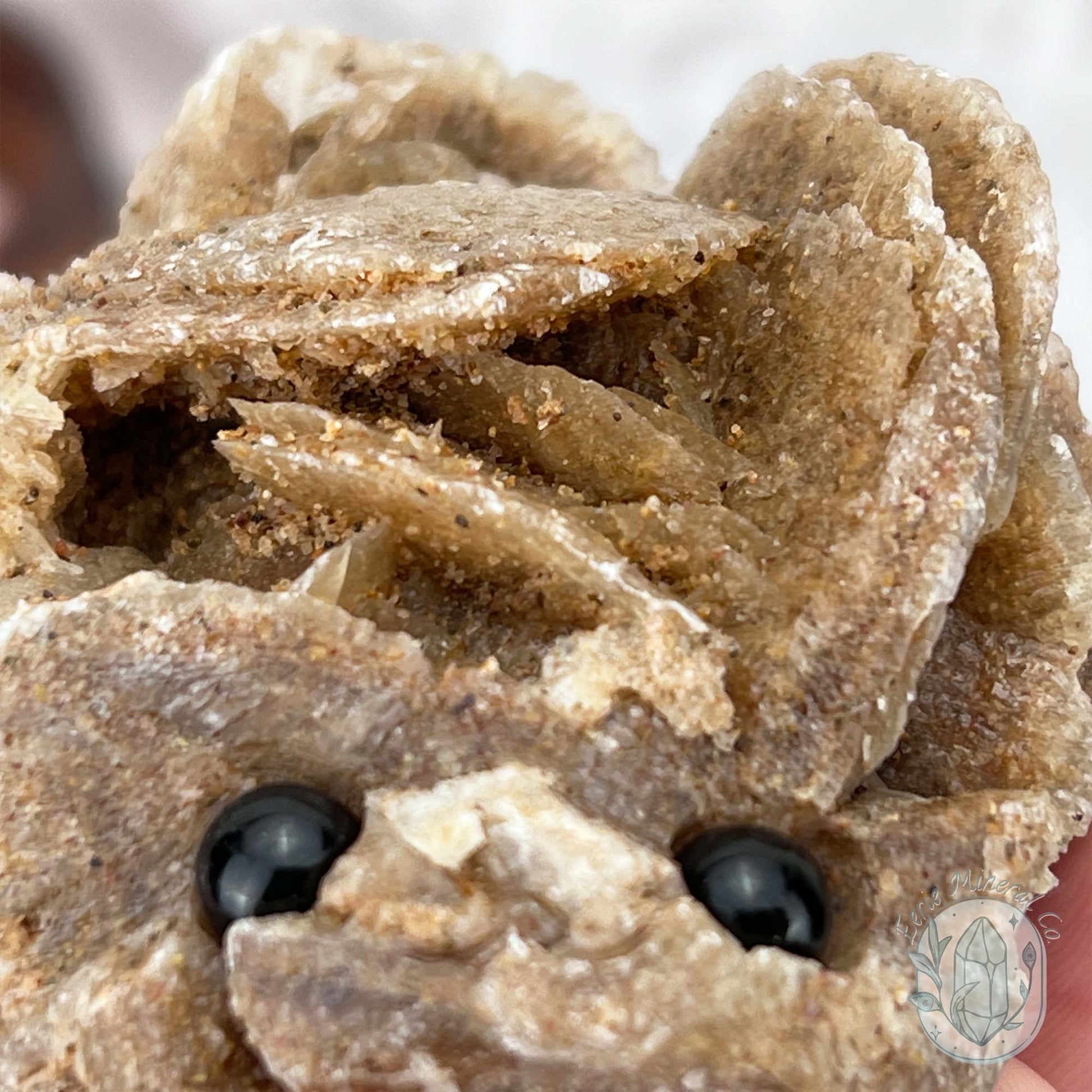 Desert Rose (Gypsum) Hedgehog Specimen