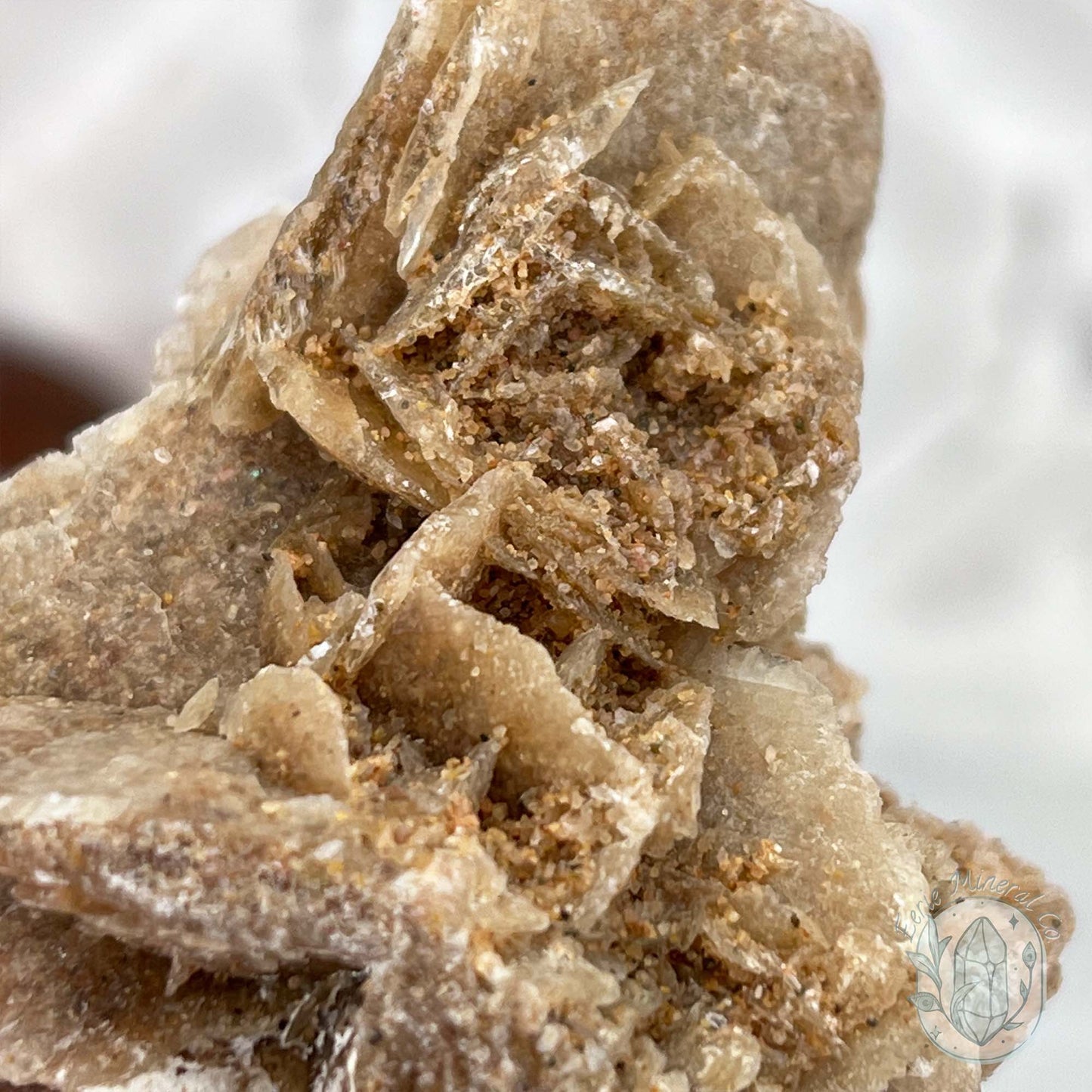 Desert Rose (Gypsum) Hedgehog Specimen