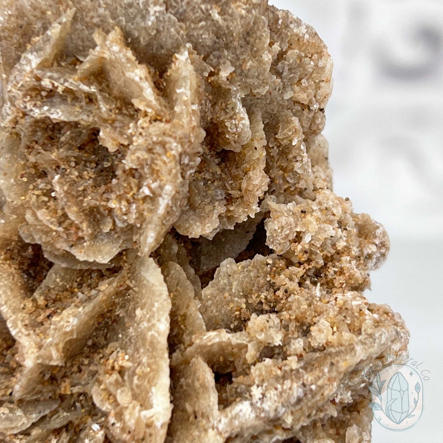 Desert Rose (Gypsum) Hedgehog Specimen