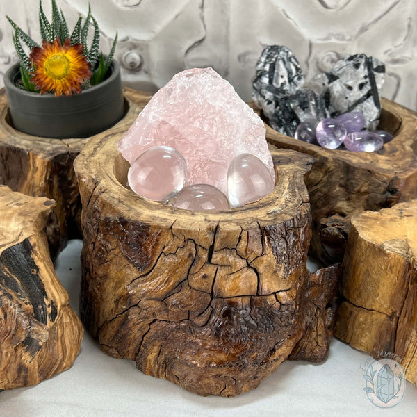 Nature Inspired Tree Stump Wooden Bowl