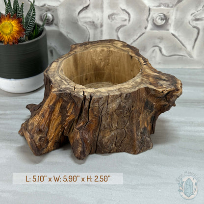 Nature Inspired Tree Stump Wooden Bowl