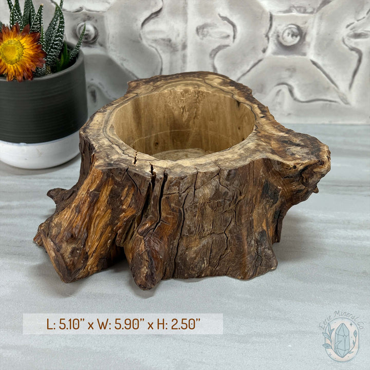 Nature Inspired Tree Stump Wooden Bowl