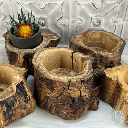 Nature Inspired Driftwood Tree Stump Wooden Bowl