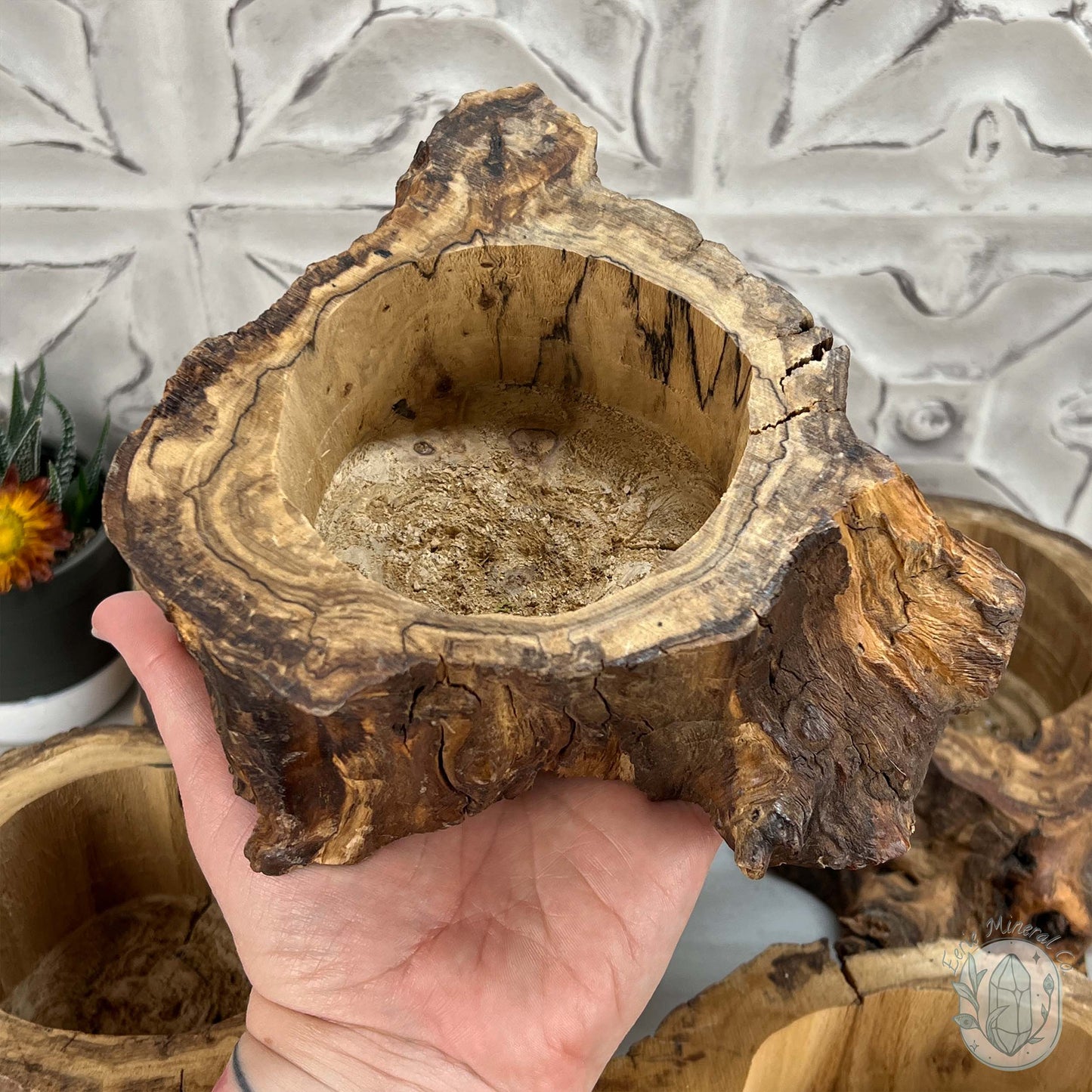 Nature Inspired Tree Stump Wooden Bowl