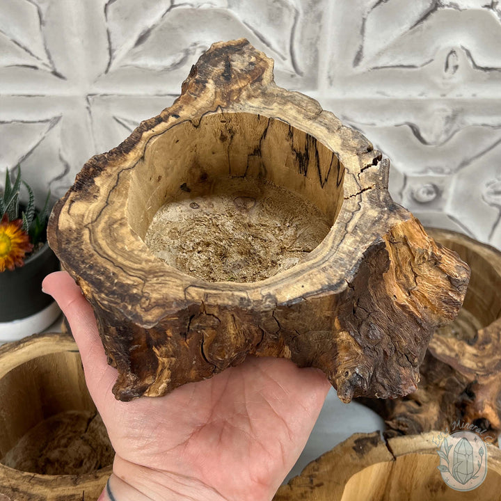 Nature Inspired Tree Stump Wooden Bowl